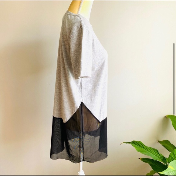 Zara | Trufuluc Mesh T-shirt Tunic - Picture 4 of 5